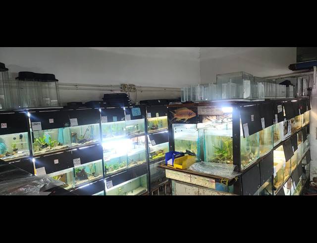 300M² BUSINESS FOR SALE IN VANDERBIJLPARK CENTRAL
